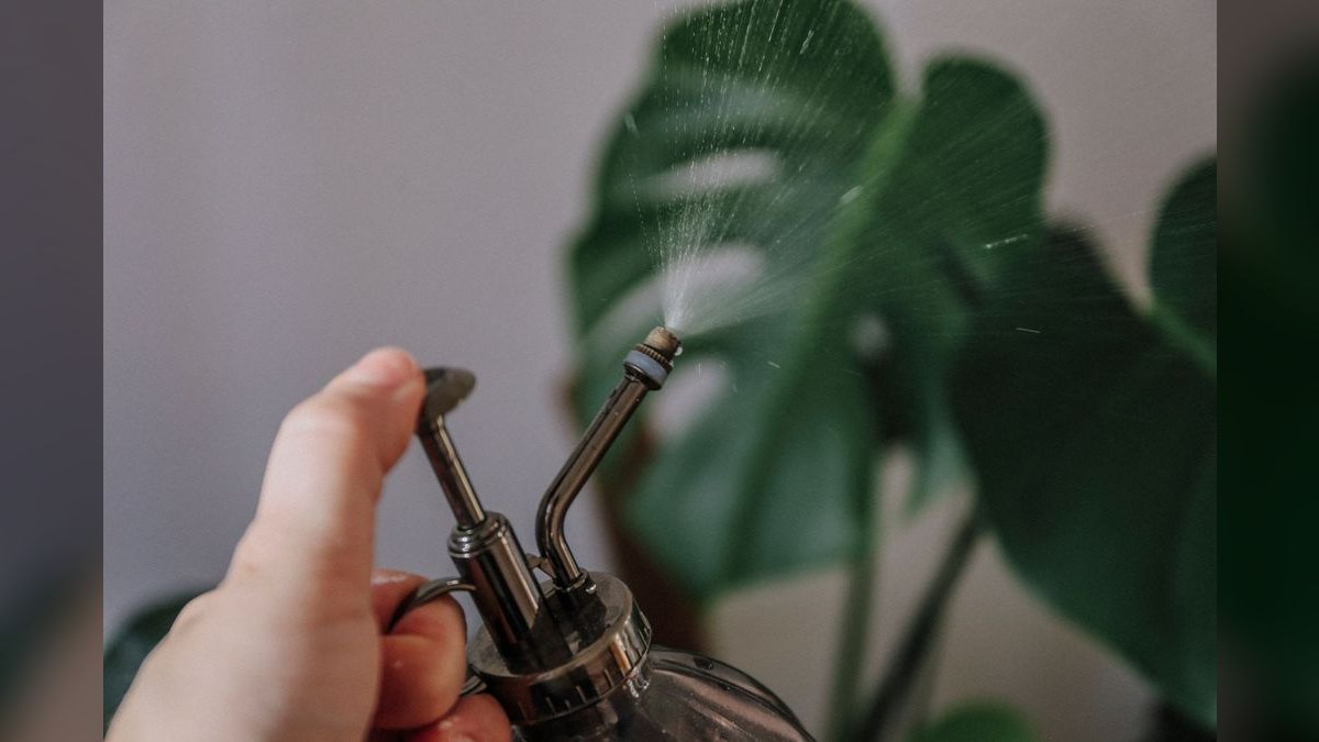Top 10 Cool Mist Humidifiers in 2027 — Best Overall + Best Value — figure 5