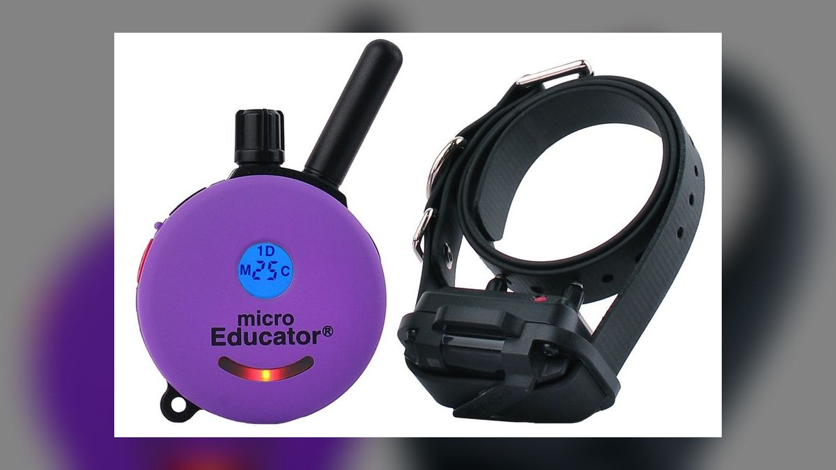 Top 10 Dog Training Collars — Best Overall + Best Value in 2027 — figure 10