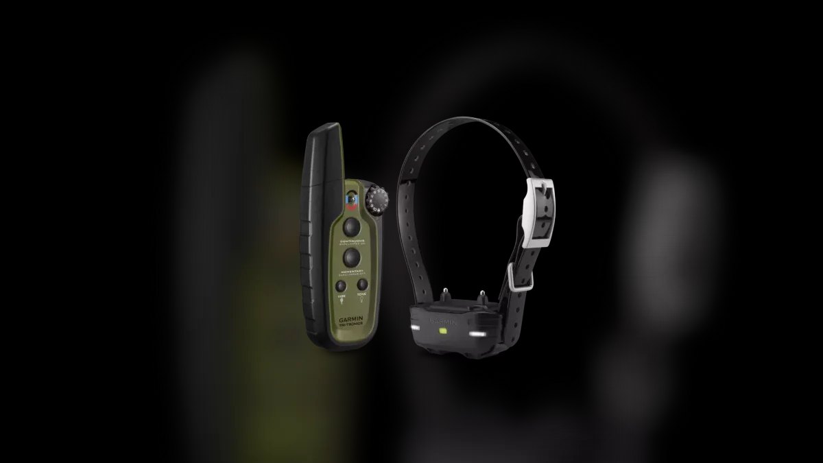 Top 10 Dog Training Collars — Best Overall + Best Value in 2027 — figure 2