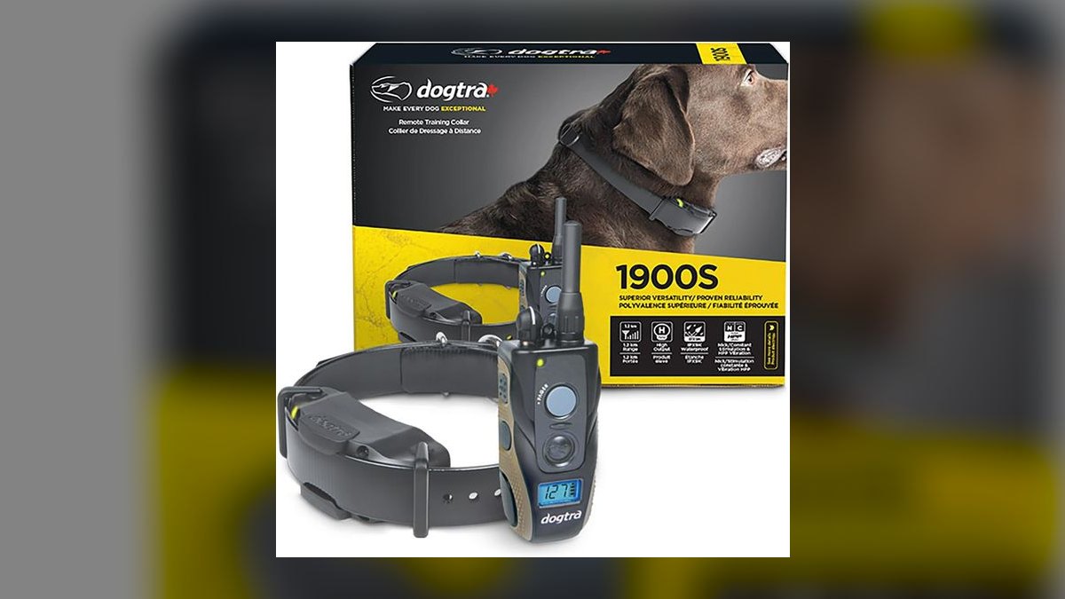 Top 10 Dog Training Collars — Best Overall + Best Value in 2027 — figure 3