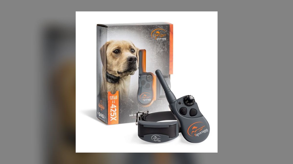 Top 10 Dog Training Collars — Best Overall + Best Value in 2027 — figure 4