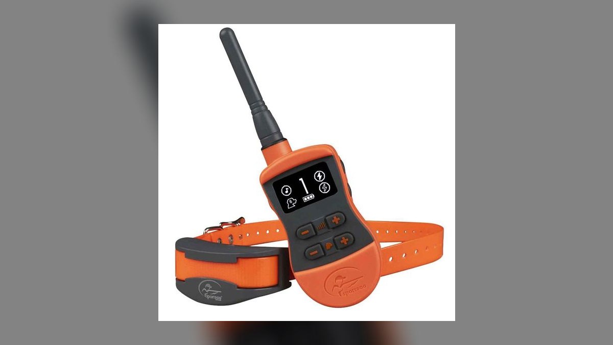 Top 10 Dog Training Collars — Best Overall + Best Value in 2027 — figure 5