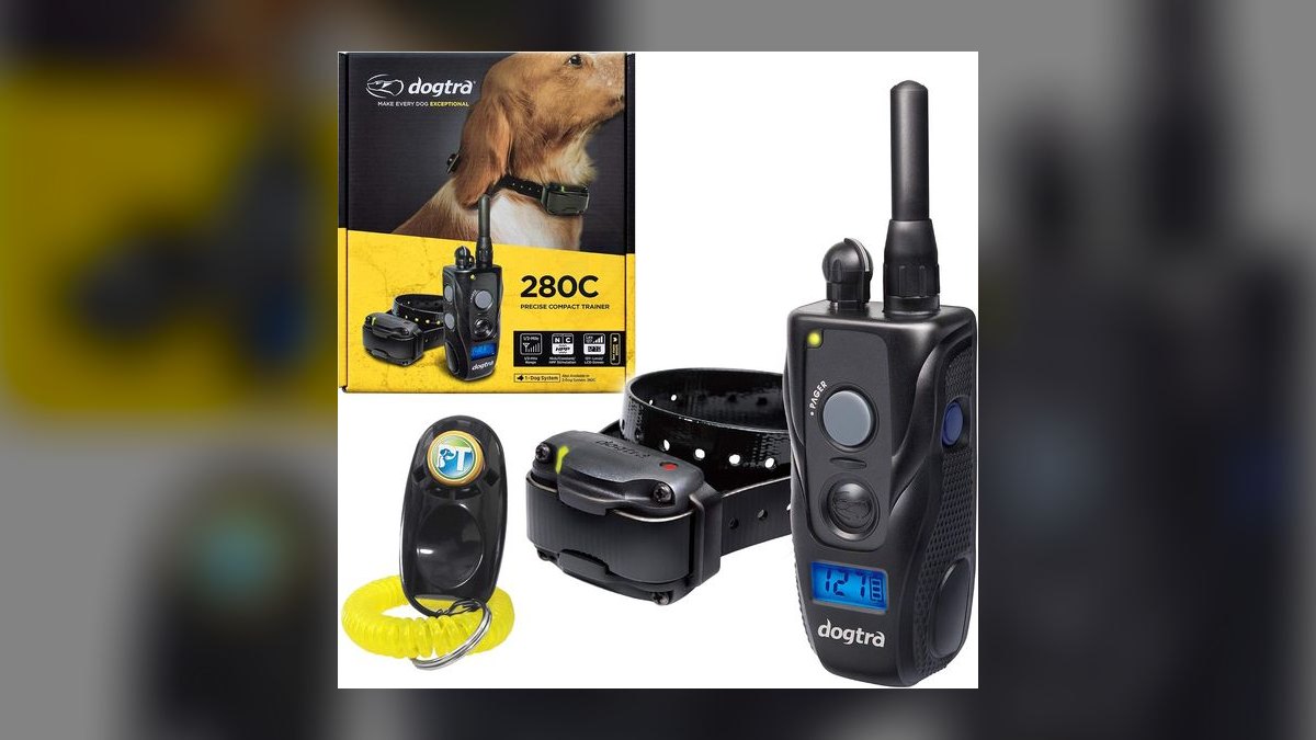 Top 10 Dog Training Collars — Best Overall + Best Value in 2027 — figure 7