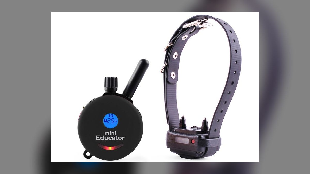 Top 10 Dog Training Collars — Best Overall + Best Value in 2027
