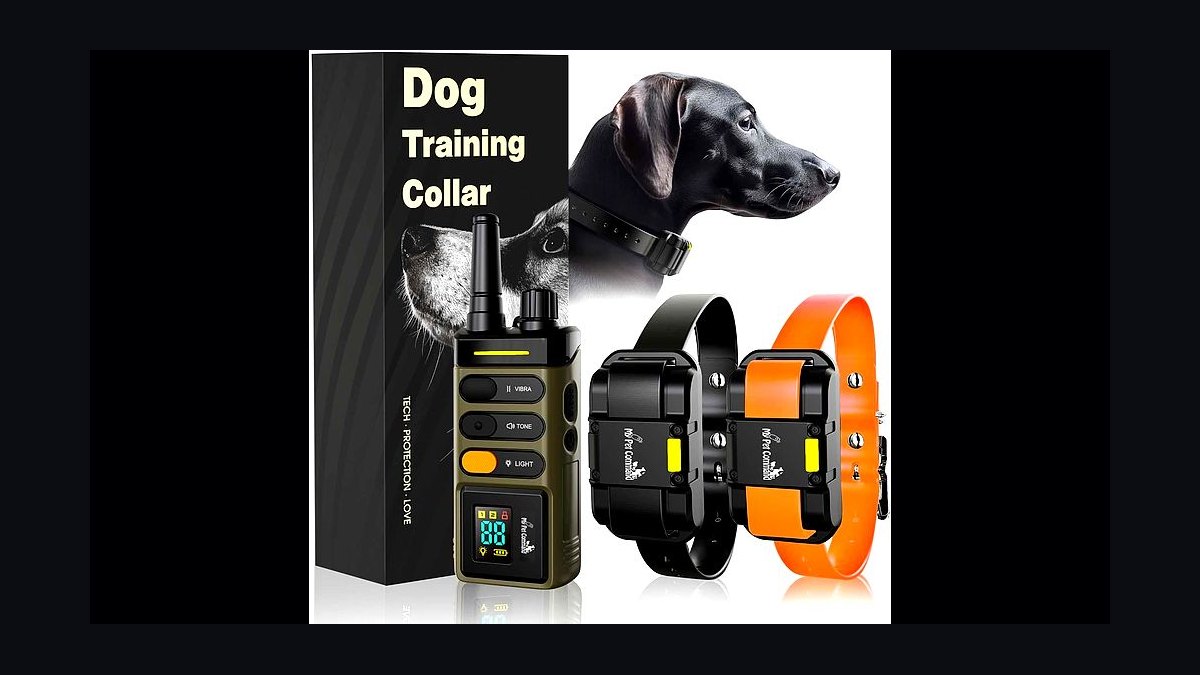 Top 10 Dog Training Collars — Best Overall + Best Value in 2027