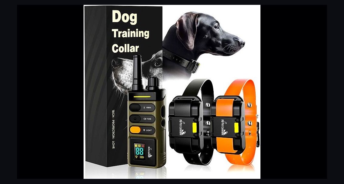 Top 10 Dog Training Collars — Best Overall + Best Value in 2027