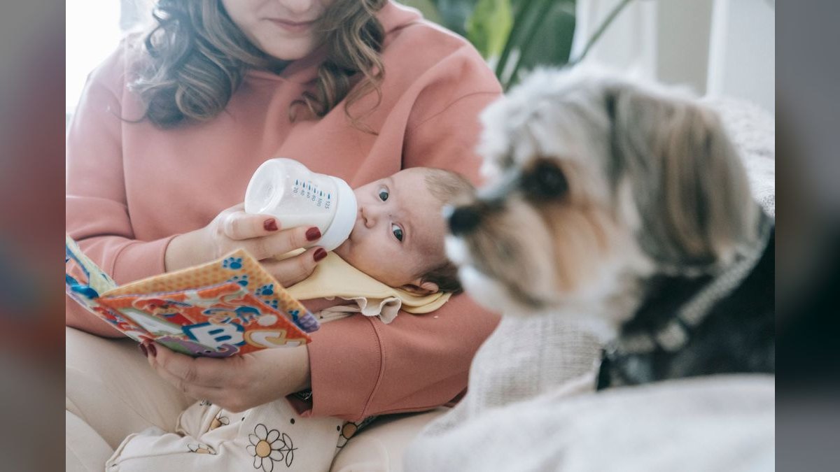 Top 10 Baby Bottle Warmers in 2027 — Best Overall + Best Value — figure 4