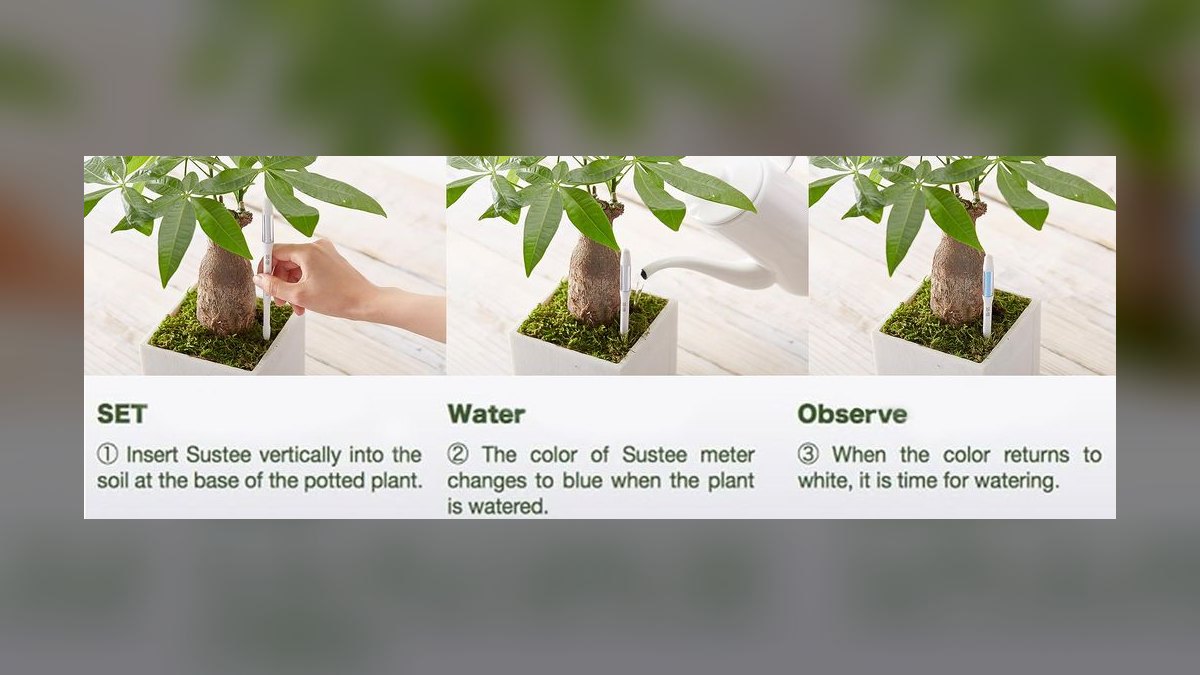 Top 10 Smart Plant Sensors — Best Overall + Best Value in 2027 — figure 4