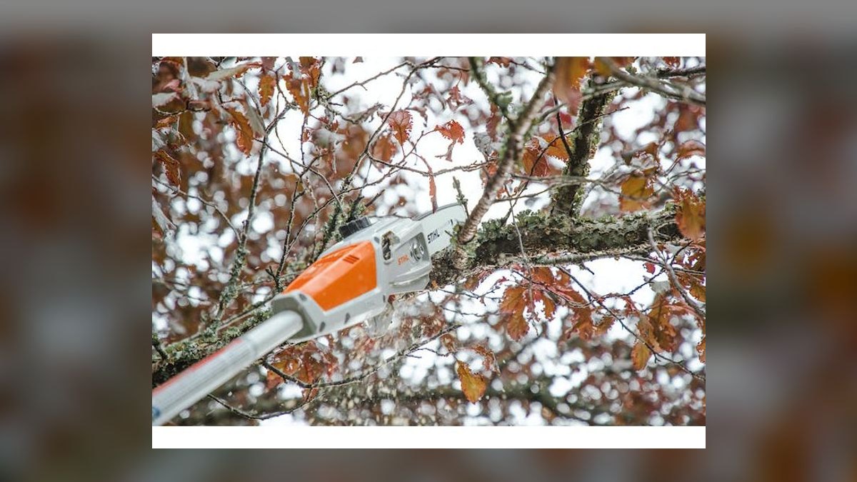 Top 10 Cordless Pole Saws — Best Overall + Best Value in 2027 — figure 10