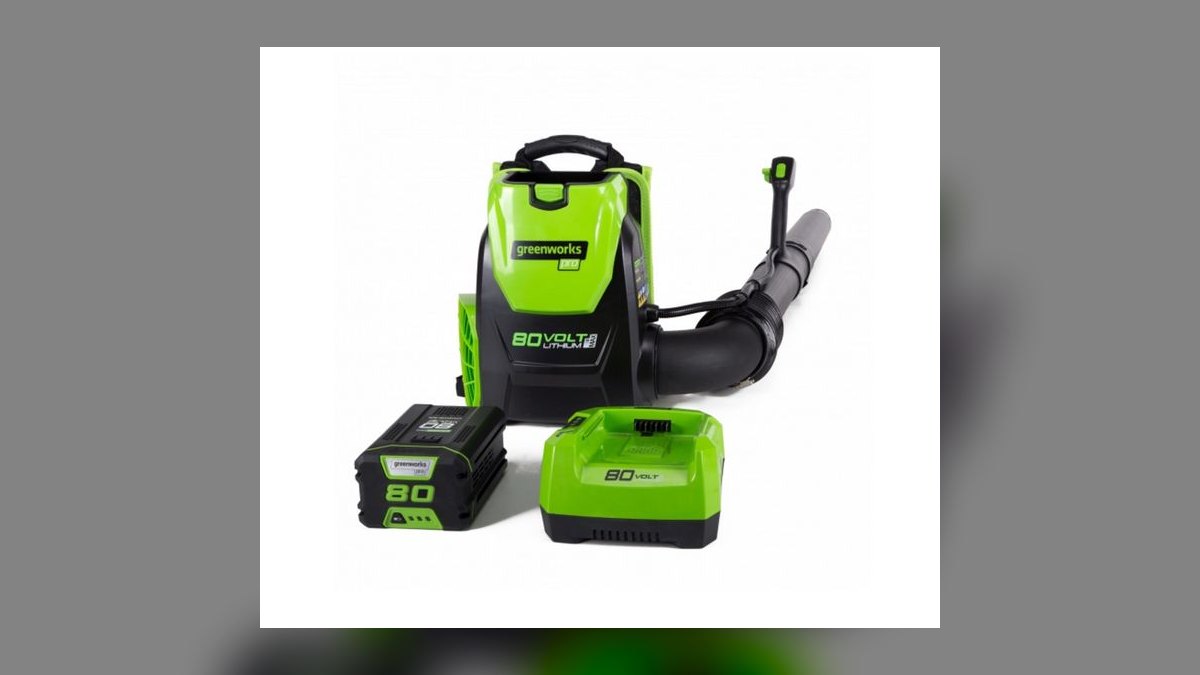 Top 10 Backpack Leaf Blowers — Best Overall + Best Value in 2027 — figure 7
