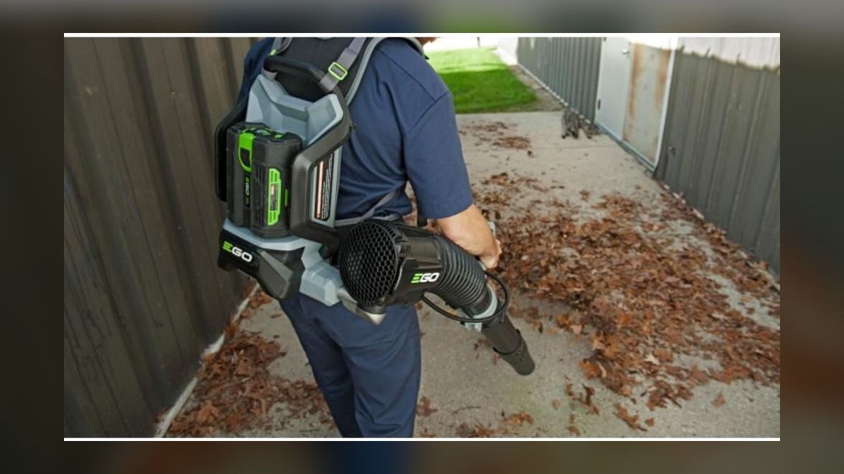 Top 10 Backpack Leaf Blowers — Best Overall + Best Value in 2027 — figure 8
