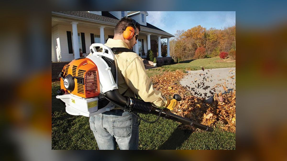 Top 10 Backpack Leaf Blowers — Best Overall + Best Value in 2027 — figure 9