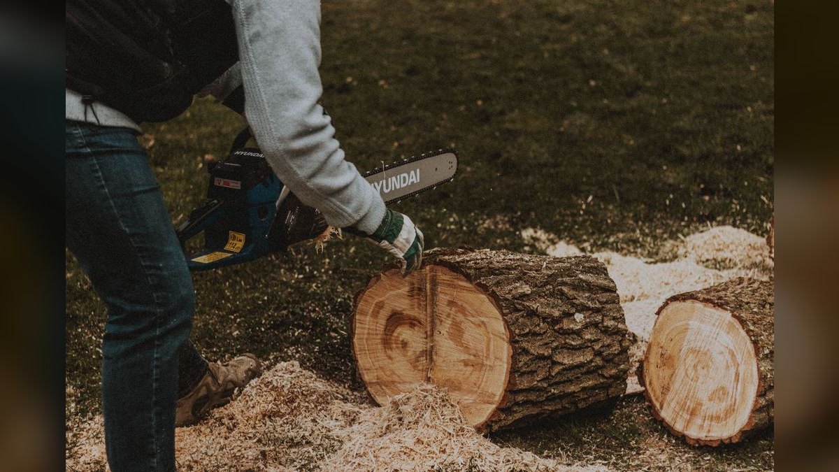 Top 10 Electric Wood Chippers in 2027 — Best Overall + Best Value — figure 2