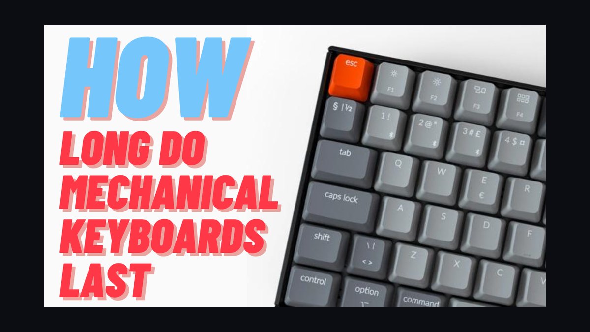 How long does a mechanical keyboard actually last before the switches wear out in 2027 — figure 1