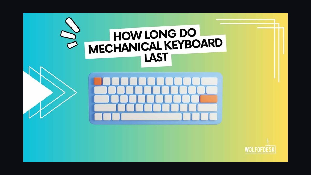 How long does a mechanical keyboard actually last before the switches wear out in 2027?