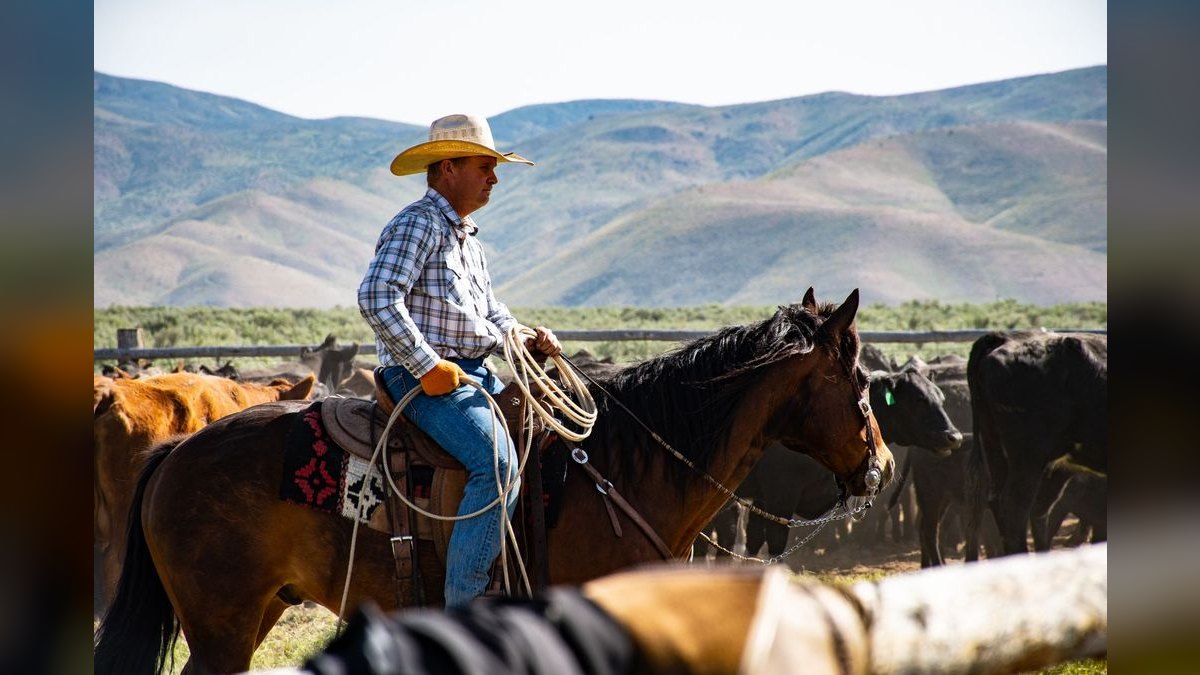 Top 10 Best Places to Buy a Ranch — figure 1