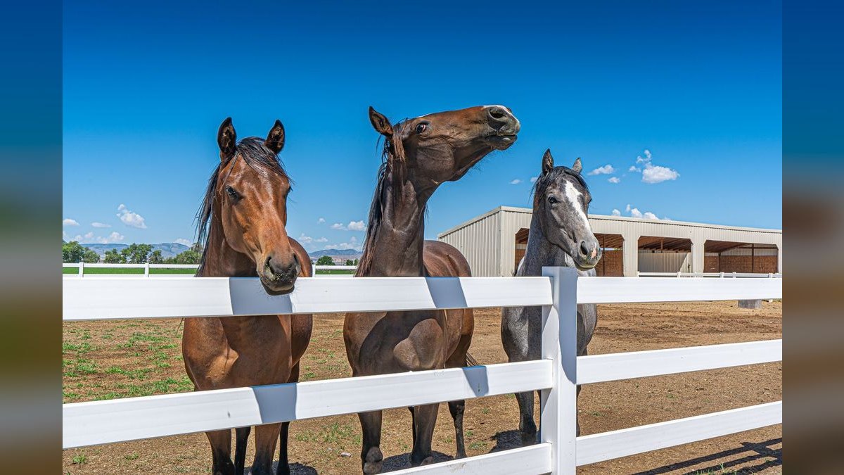 Top 10 Best Places to Buy a Ranch — figure 2