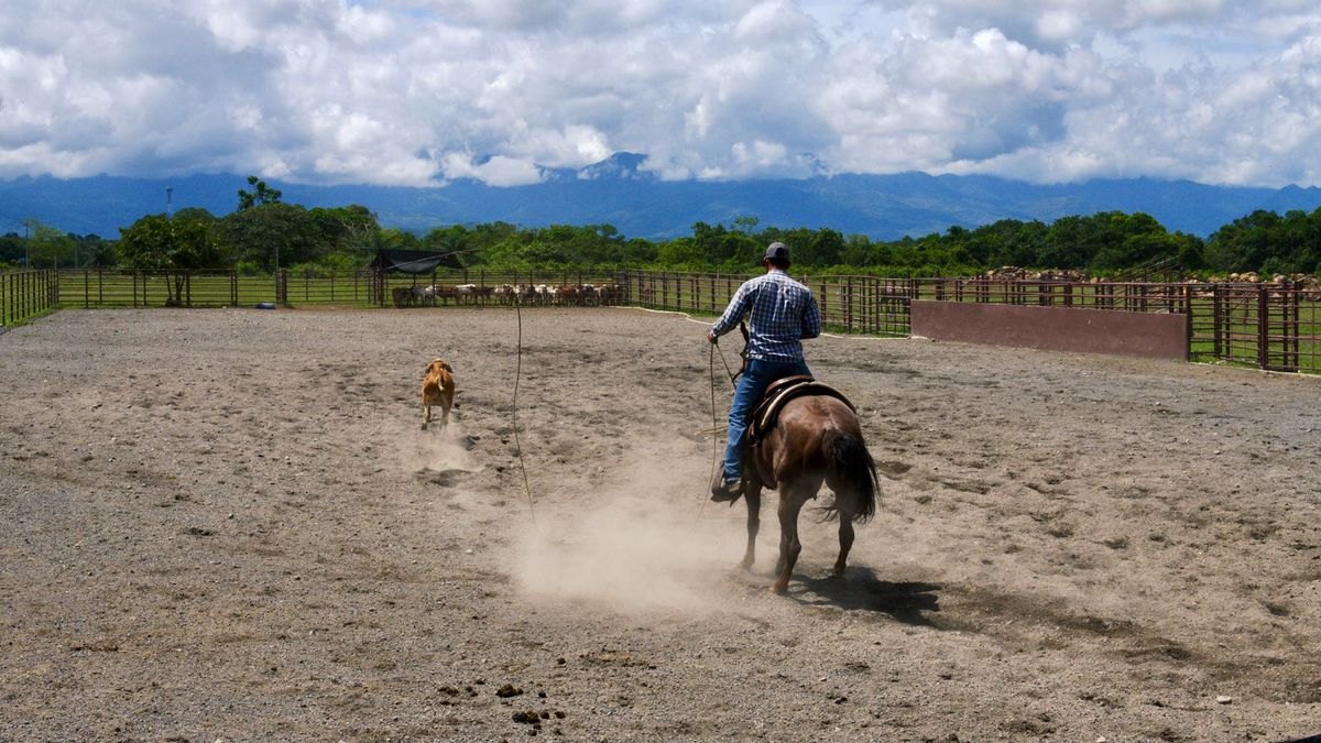 Top 10 Best Places to Buy a Ranch — figure 4