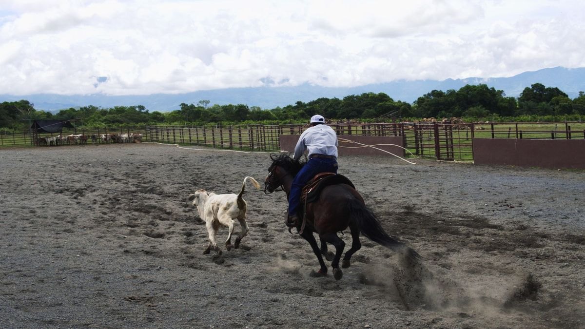 Top 10 Best Places to Buy a Ranch — figure 5
