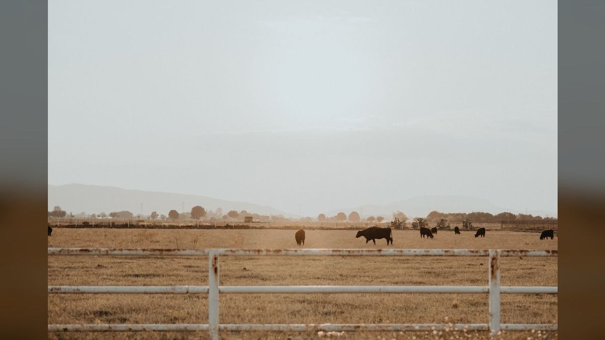 Top 10 Best Places to Buy a Ranch