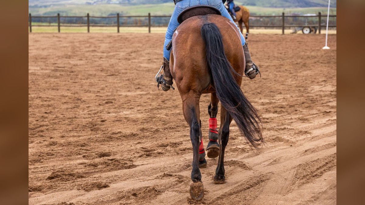 Top 10 Equestrian Communities in the US — figure 1