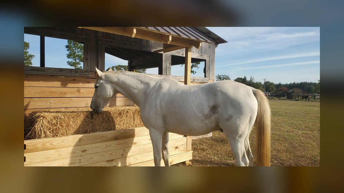 Top 10 Equestrian Communities in the US in 2027 — figure 10