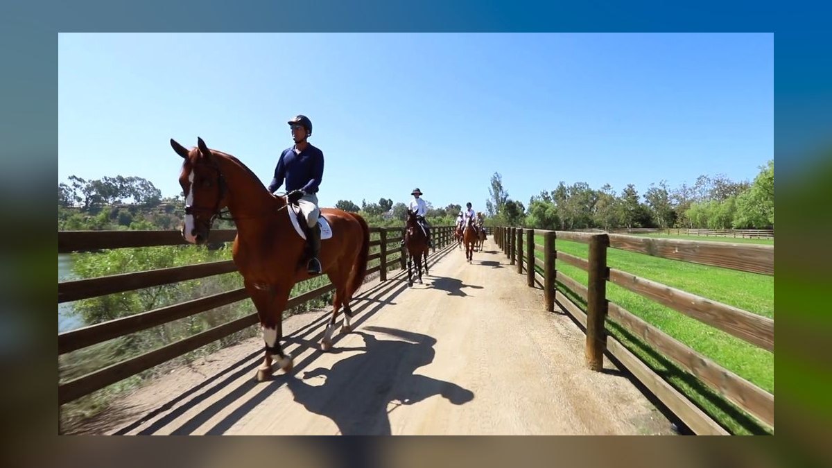 Top 10 Equestrian Communities in the US in 2027 — figure 8