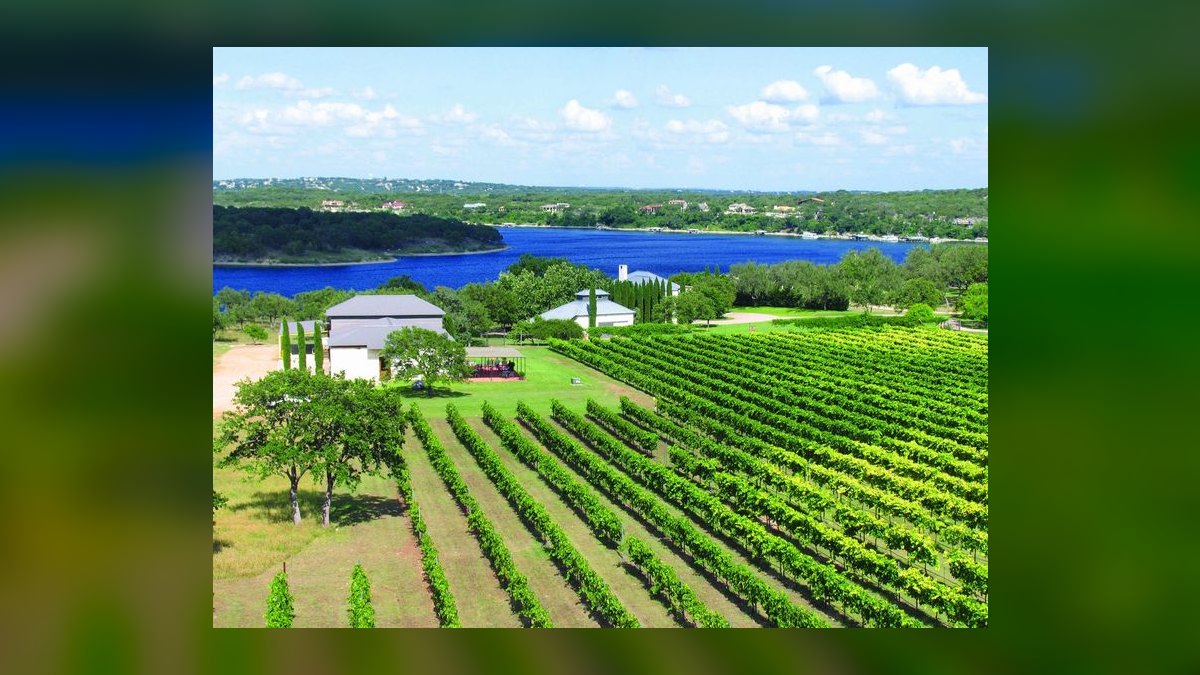 Top 10 Best Places to Buy a Vineyard or Winery in 2027 — figure 7