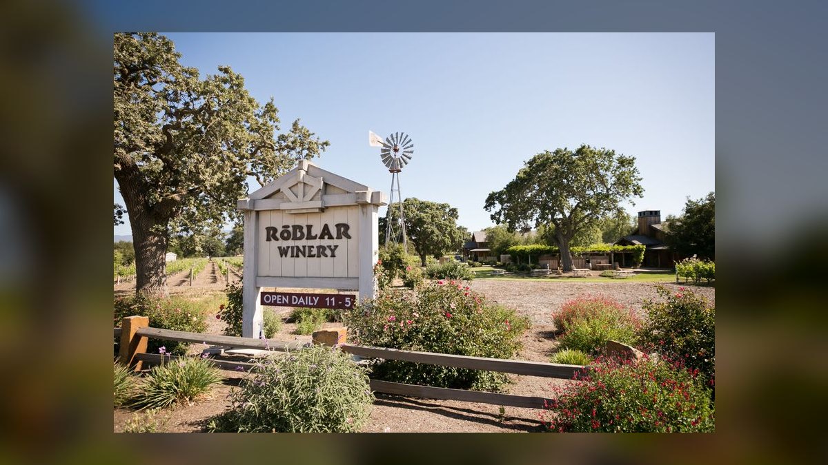 Top 10 Best Places to Buy a Vineyard or Winery in 2027 — figure 8
