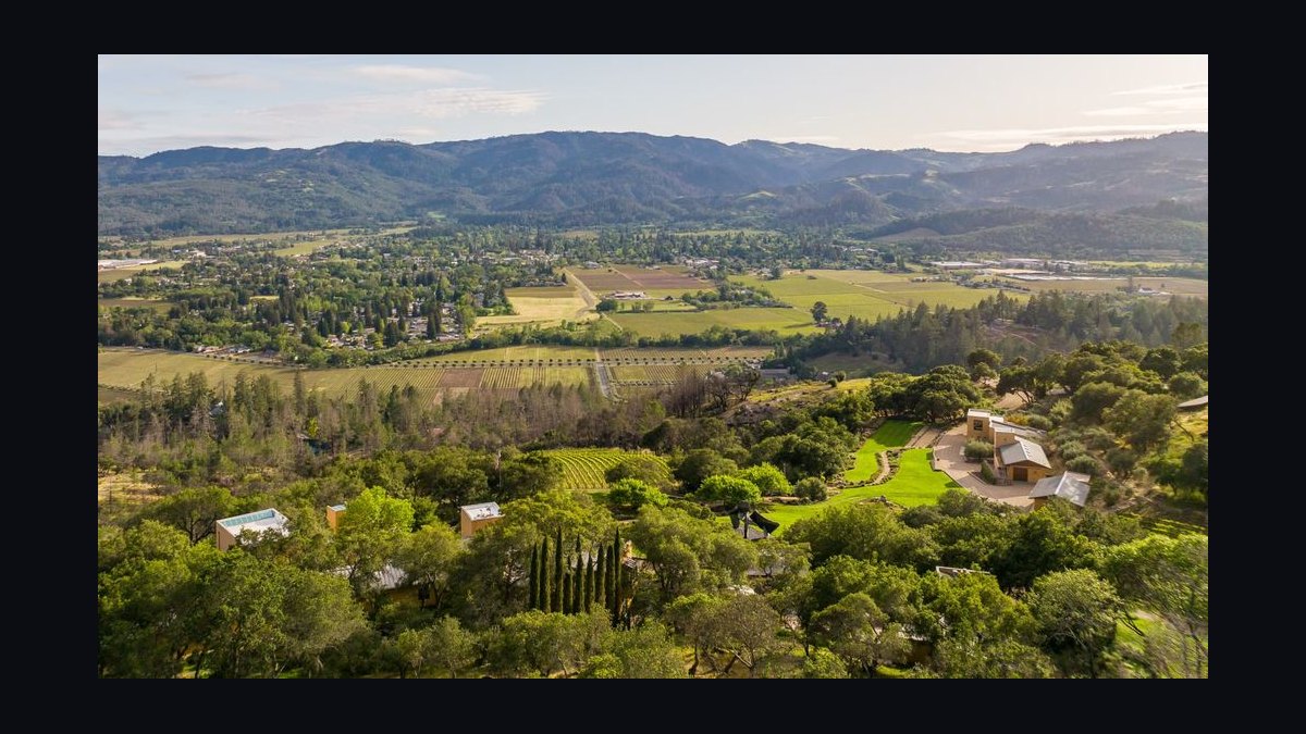 Top 10 Best Places to Buy a Vineyard or Winery in 2027