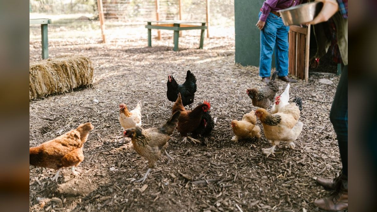 Top 10 Best Places to Buy a Hobby Farm — figure 5