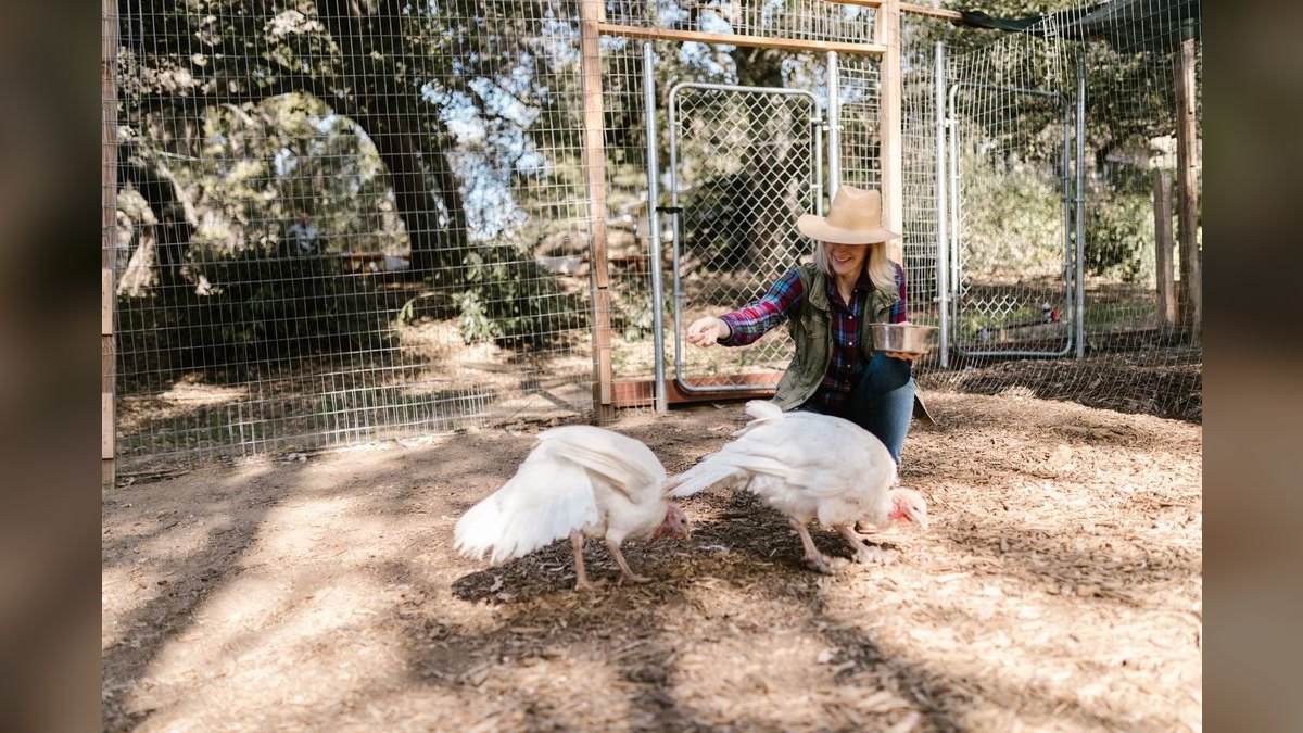 Top 10 Best Places to Buy a Hobby Farm — figure 6