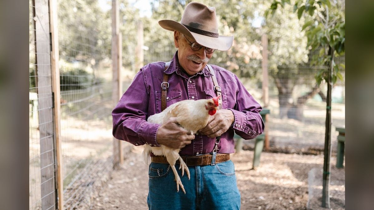 Top 10 Best Places to Buy a Hobby Farm