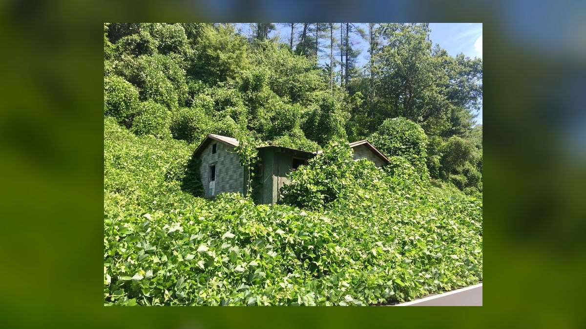 Top 10 Luxury Neighborhoods in Atlanta — figure 7