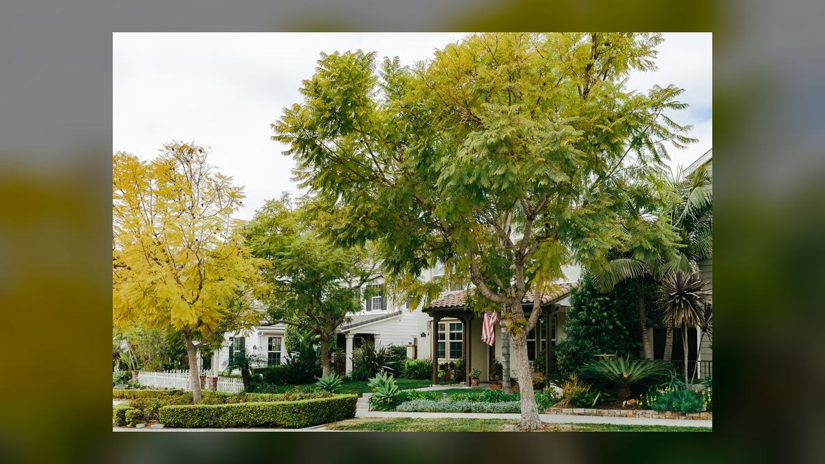 Top 10 Luxury Neighborhoods in San Diego in 2027 — figure 9