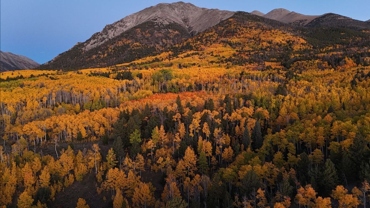 Top 10 Luxury Neighborhoods in Aspen — figure 2