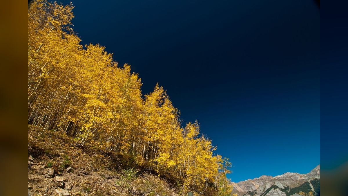 Top 10 Luxury Neighborhoods in Aspen — figure 5