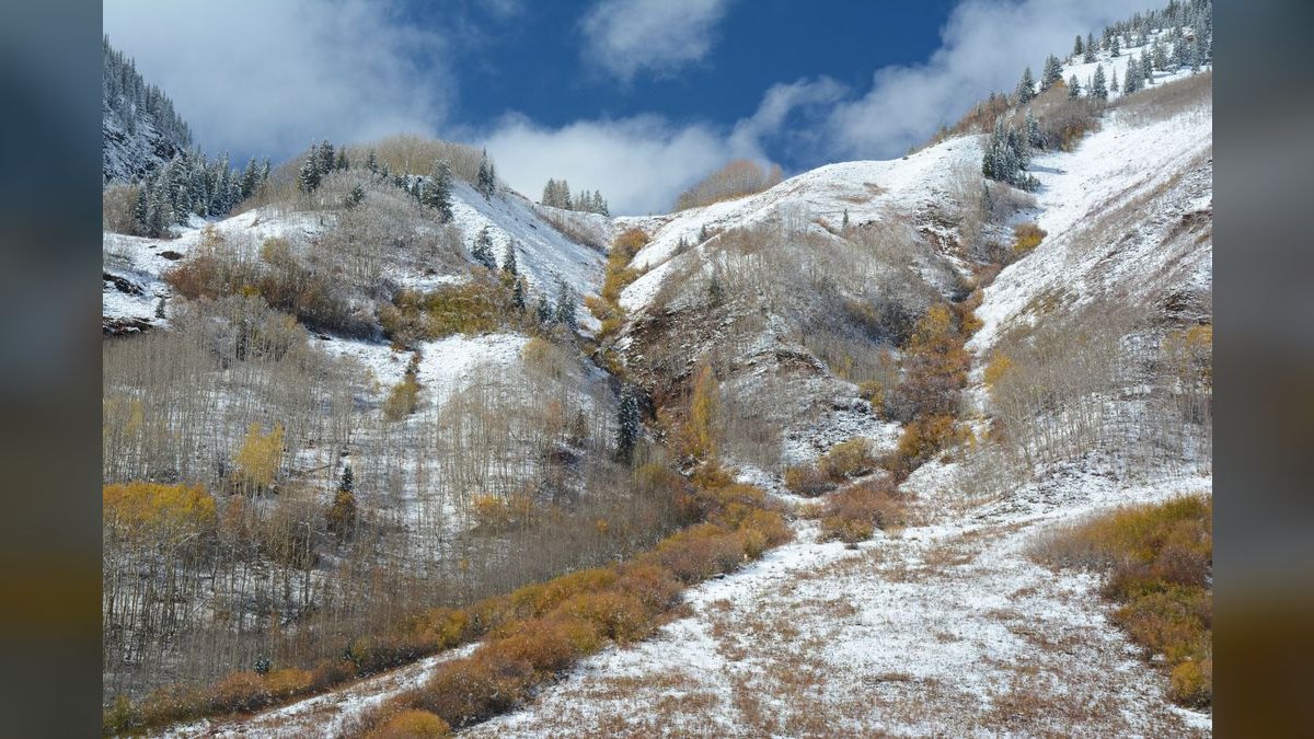 Top 10 Luxury Neighborhoods in Aspen — figure 6