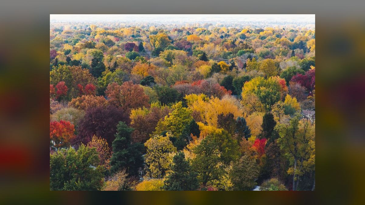 Top 10 Luxury Neighborhoods in Boise in 2027 — figure 6