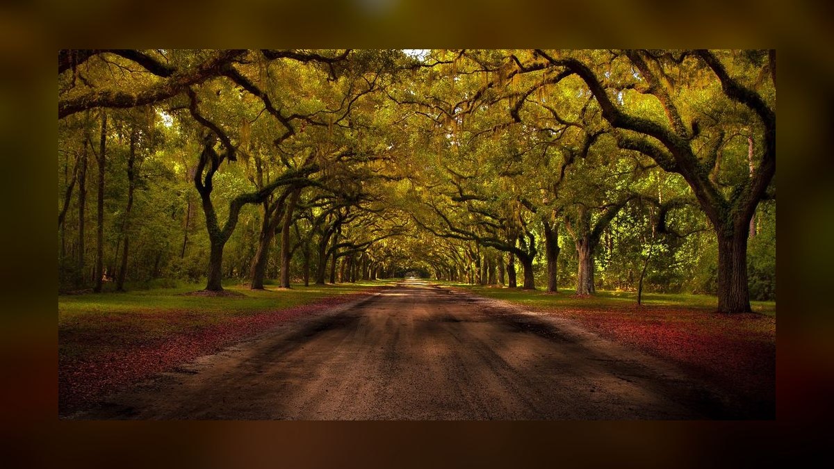 Top 10 Luxury Neighborhoods in Savannah in 2027 — figure 8