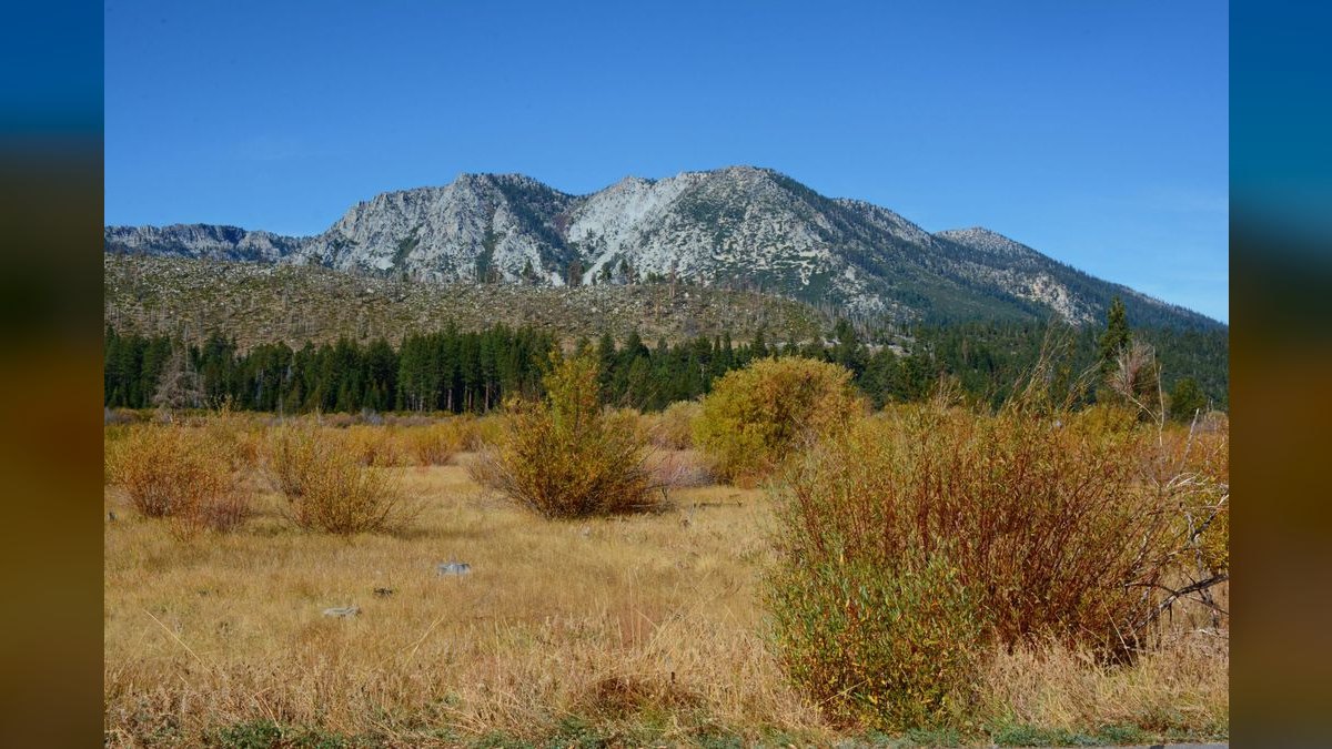 Top 10 Best Places to Buy a Home in Nevada — figure 1