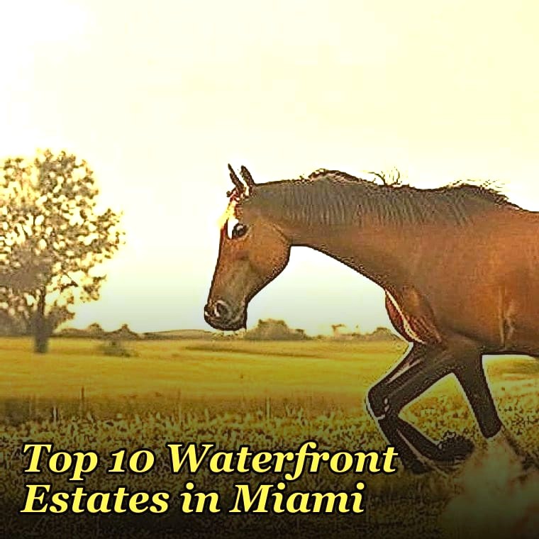 Top 10 Waterfront Estates in Miami in 2027