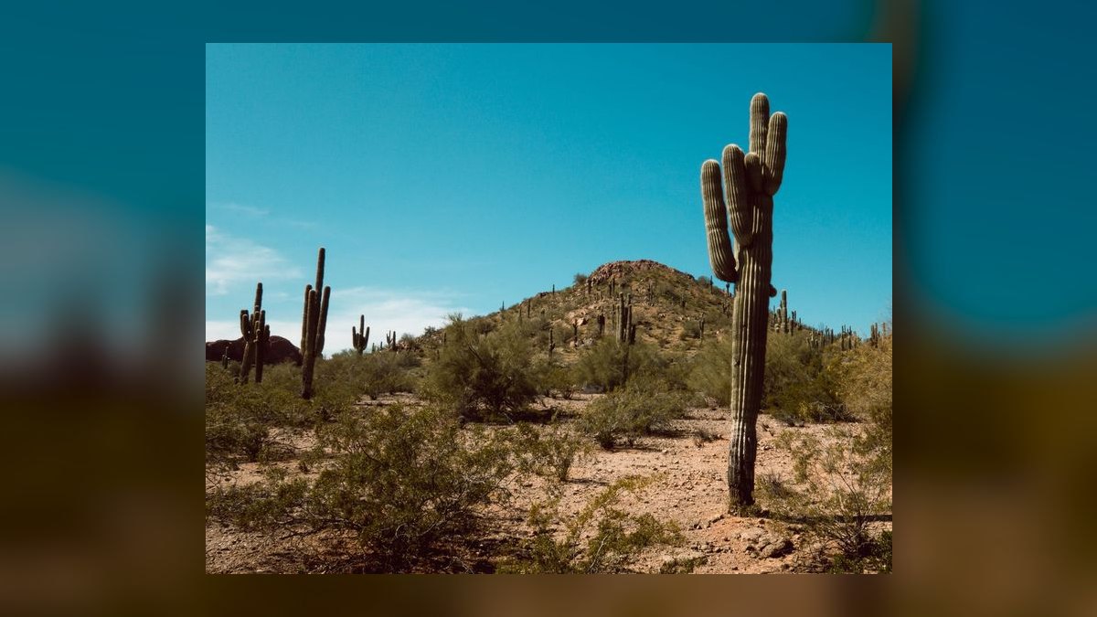 Top 10 55-Plus Communities in Phoenix in 2027 — figure 9