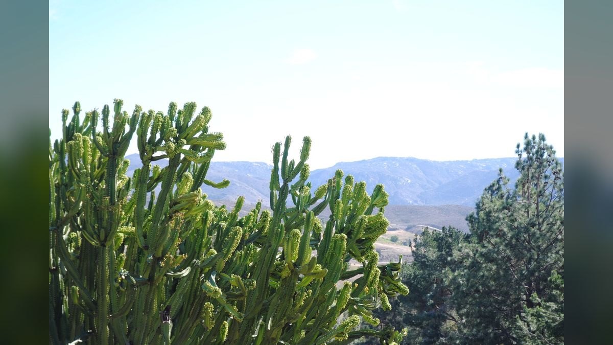Top 10 Mountain Towns in San Diego — figure 2