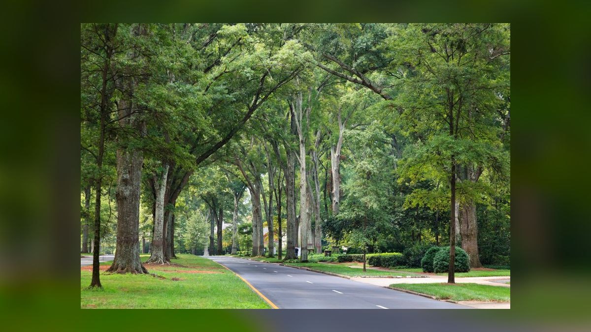 Top 10 Ski Towns in Charlotte in 2027 — figure 7
