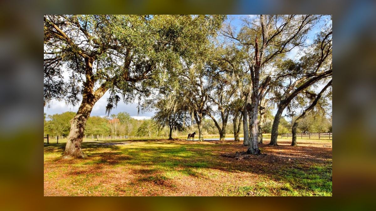 Top 10 Equestrian Communities in Miami in 2027 — figure 9