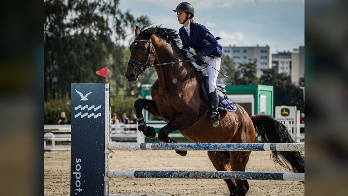 Top 10 Equestrian Communities in Atlanta — figure 1