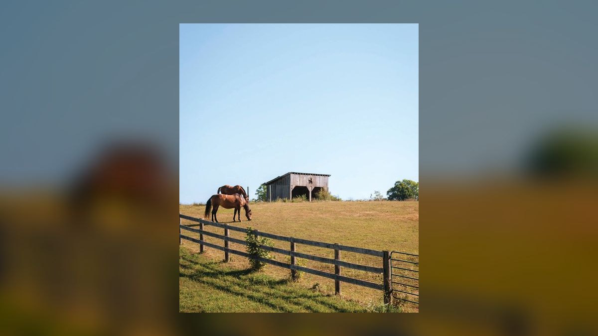 Top 10 Equestrian Communities in Atlanta in 2027