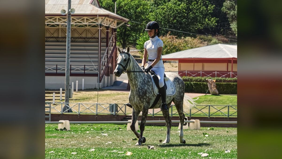 Top 10 Equestrian Communities in Phoenix — figure 2
