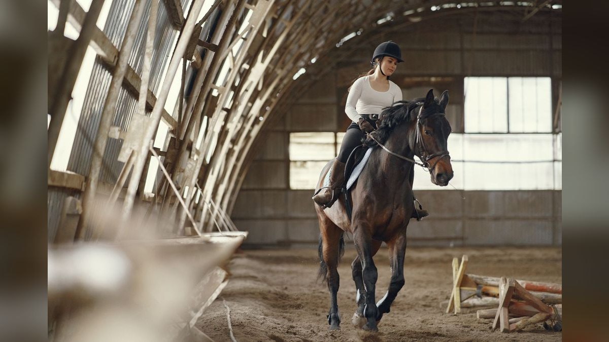 Top 10 Equestrian Communities in Phoenix — figure 5
